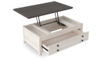 Lifttop Coffee Table by Ashley Fashion