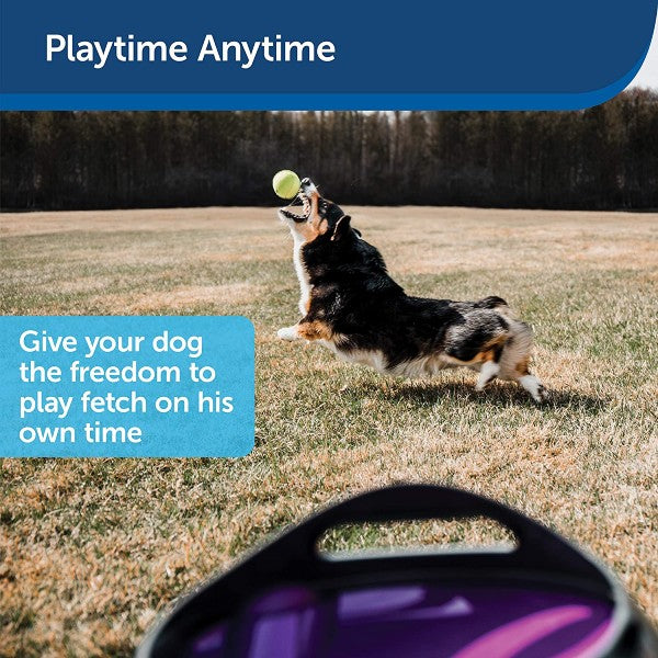 PetSafe Automatic Dog Toy Ball Launcher for Indoor & Outdoor Adjustable Range on Sale