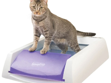 PetSafe ScoopFree 27  Purple Automatic Self Cleaning Cat Litter Box Cheap