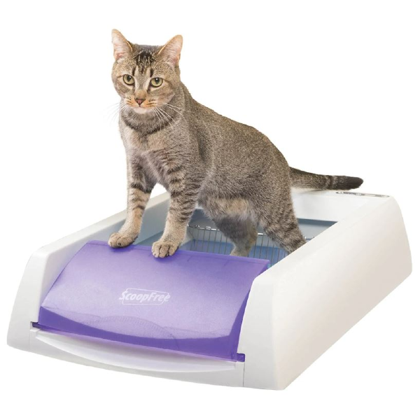 PetSafe ScoopFree 27  Purple Automatic Self Cleaning Cat Litter Box Cheap