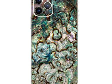 Abalone Shell Gold Underwater | Skin For Apple iPhone 12 Pro Max For Cheap